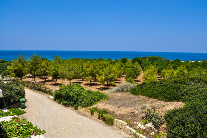Наше путешествие на Карпас в июле 2015г. Северный Кипр